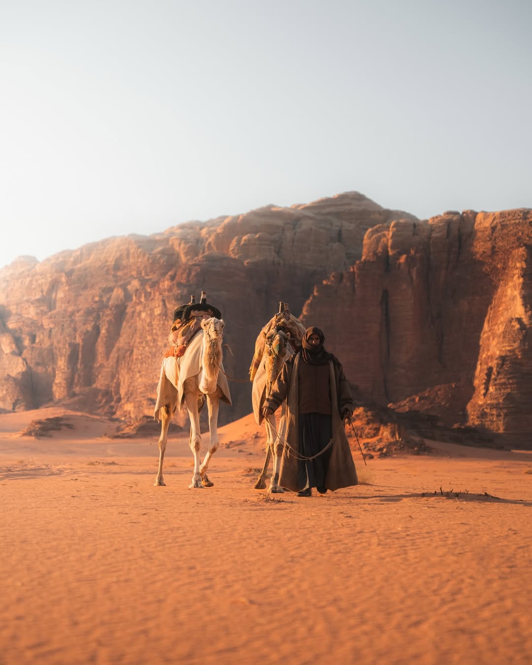 Camel caravan at the cliffs