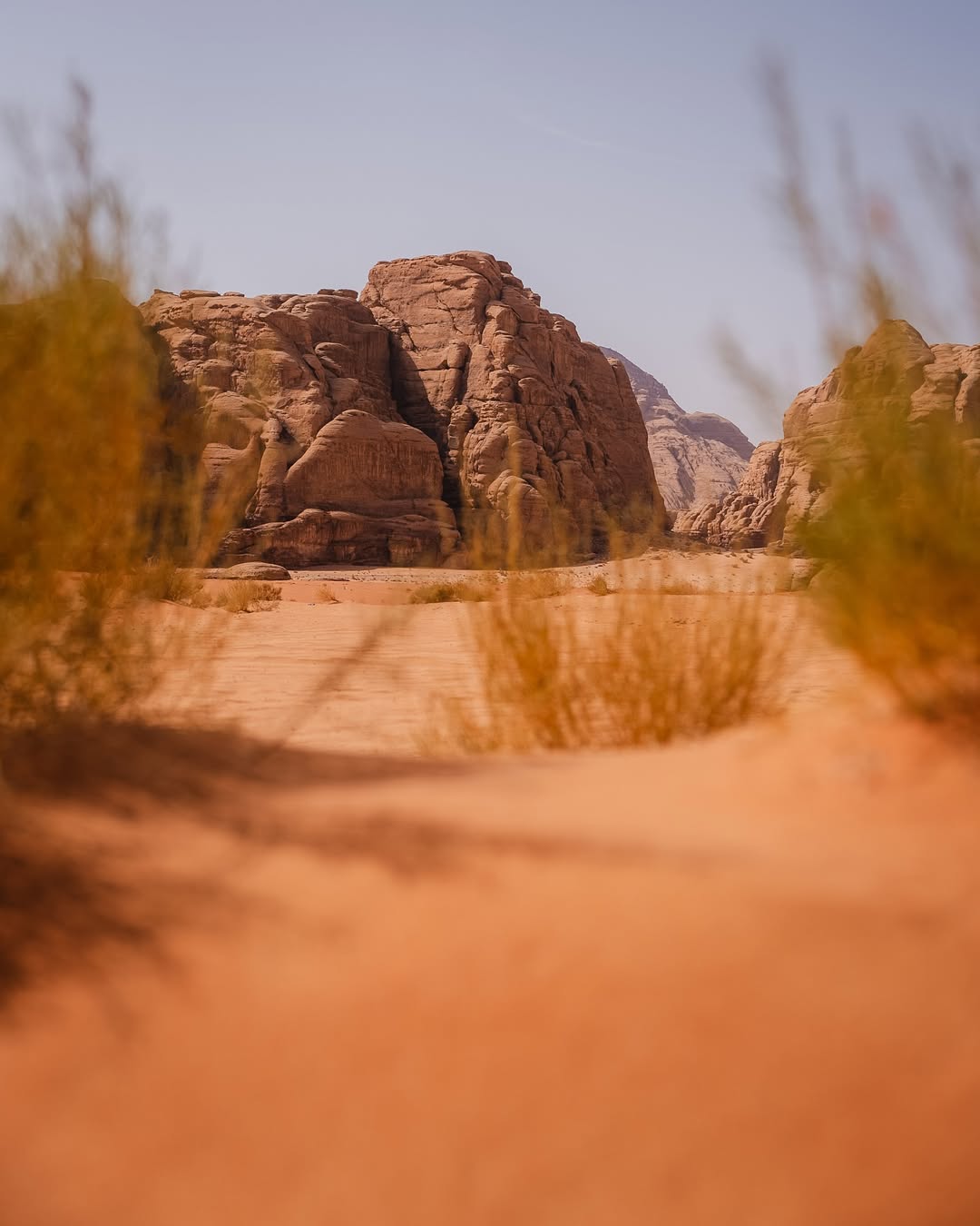 Camel Ride — 1 Day & 1 Night