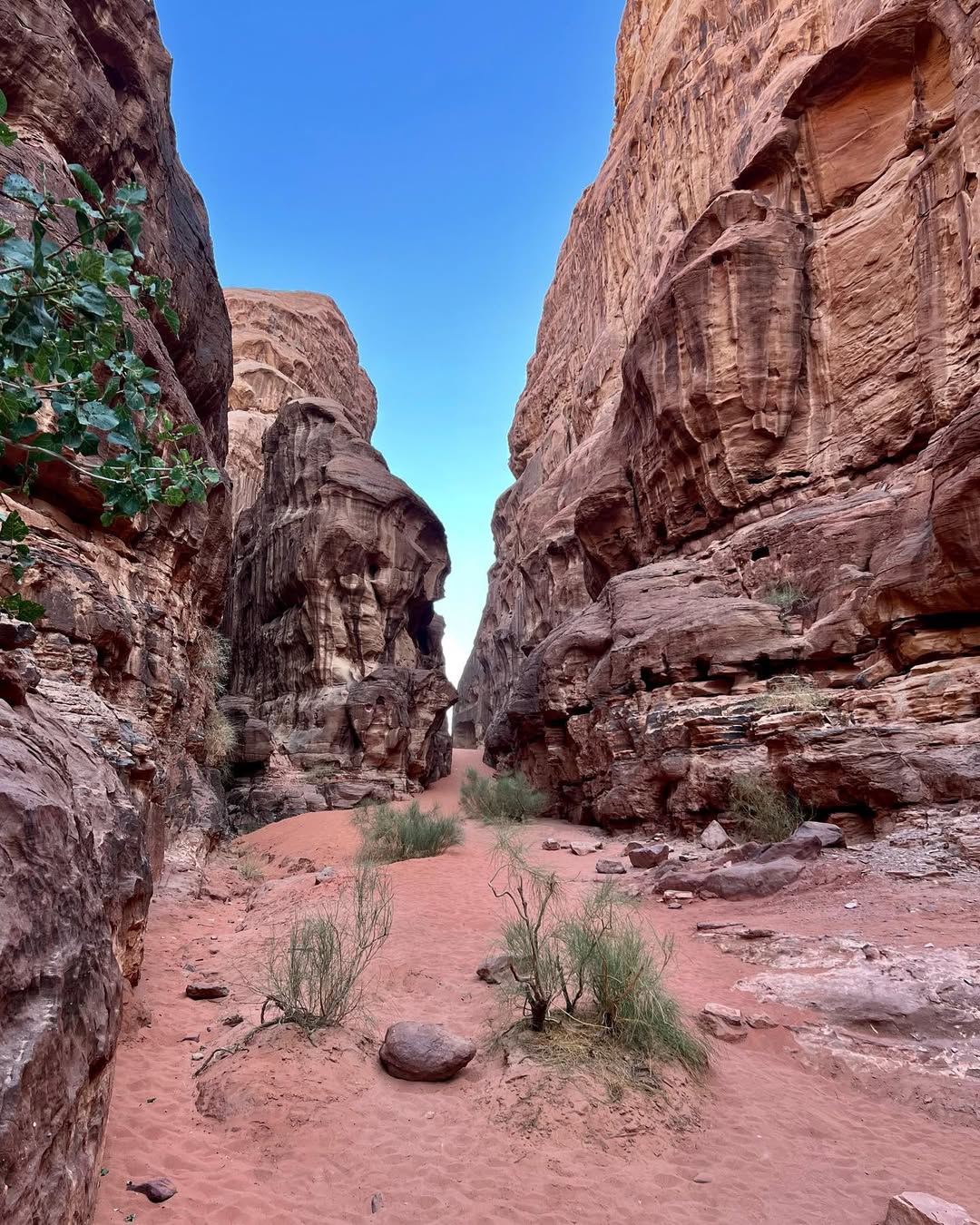 Wadi Sabet — 1 Day & 1 Night